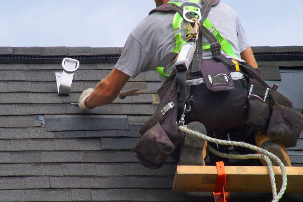 Best Shingle Roofing Installation  in Inesville, GA
