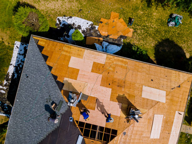 Best New Roof Installation  in Inesville, GA