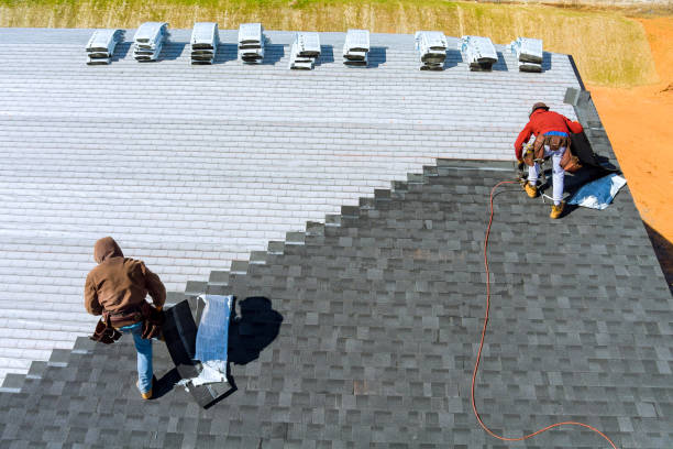 Best Roof Maintenance Services  in Inesville, GA