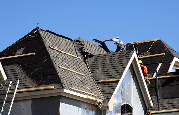 Best Roof Restoration Services  in Inesville, GA