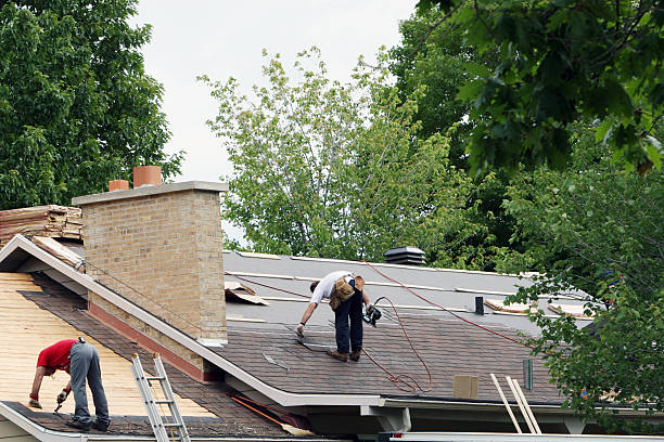 Best New Roof Installation  in Inesville, GA
