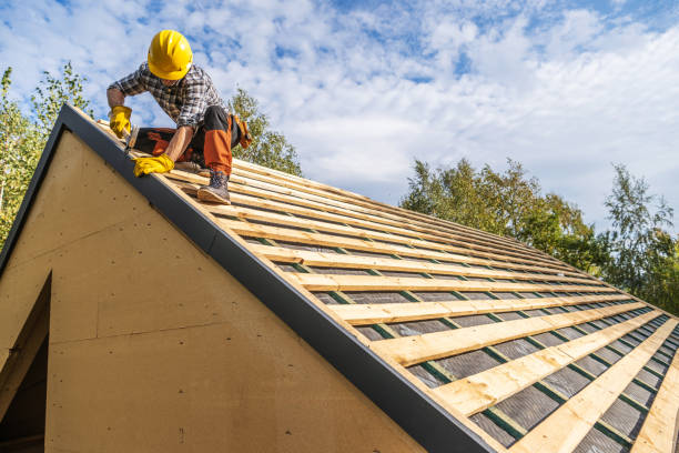 Best Roof Leak Repair  in Inesville, GA