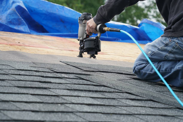 Best Roof Repair Services  in Inesville, GA