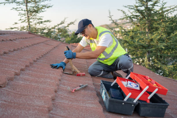 Best Commercial Roofing Services  in Inesville, GA