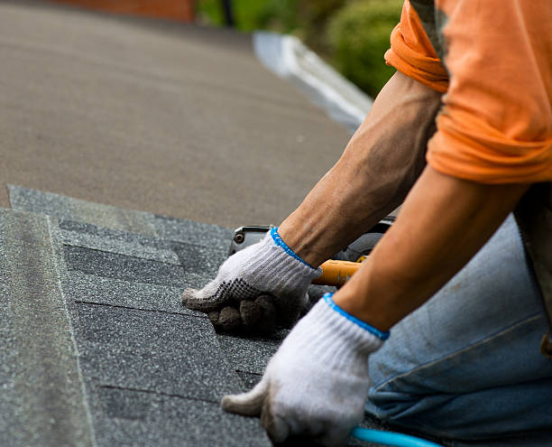 Best Shingle Roofing Installation  in Inesville, GA
