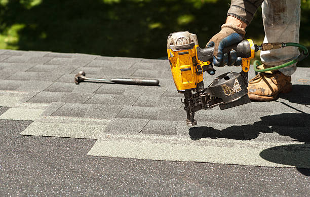 Best Roof Gutter Cleaning  in Inesville, GA