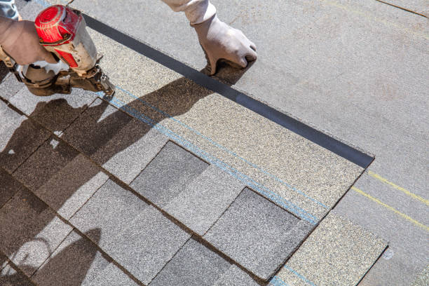 Best Roof Inspection Near Me  in Inesville, GA