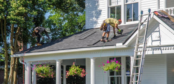 Best Local Roofing Companies  in Inesville, GA