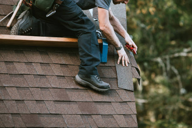 Best Metal Roofing Contractor  in Inesville, GA