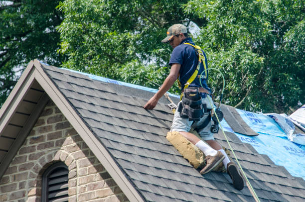 Best Residential Roofing Contractor  in Inesville, GA