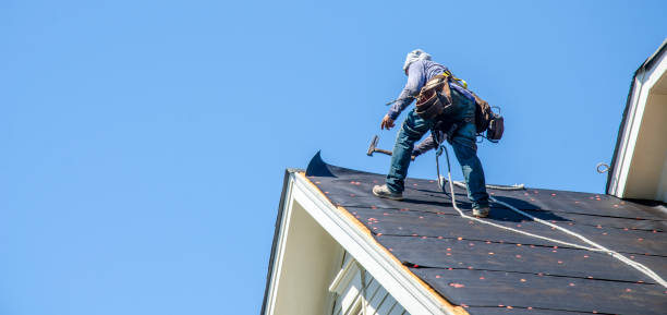 Best Emergency Roof Repair  in Inesville, GA